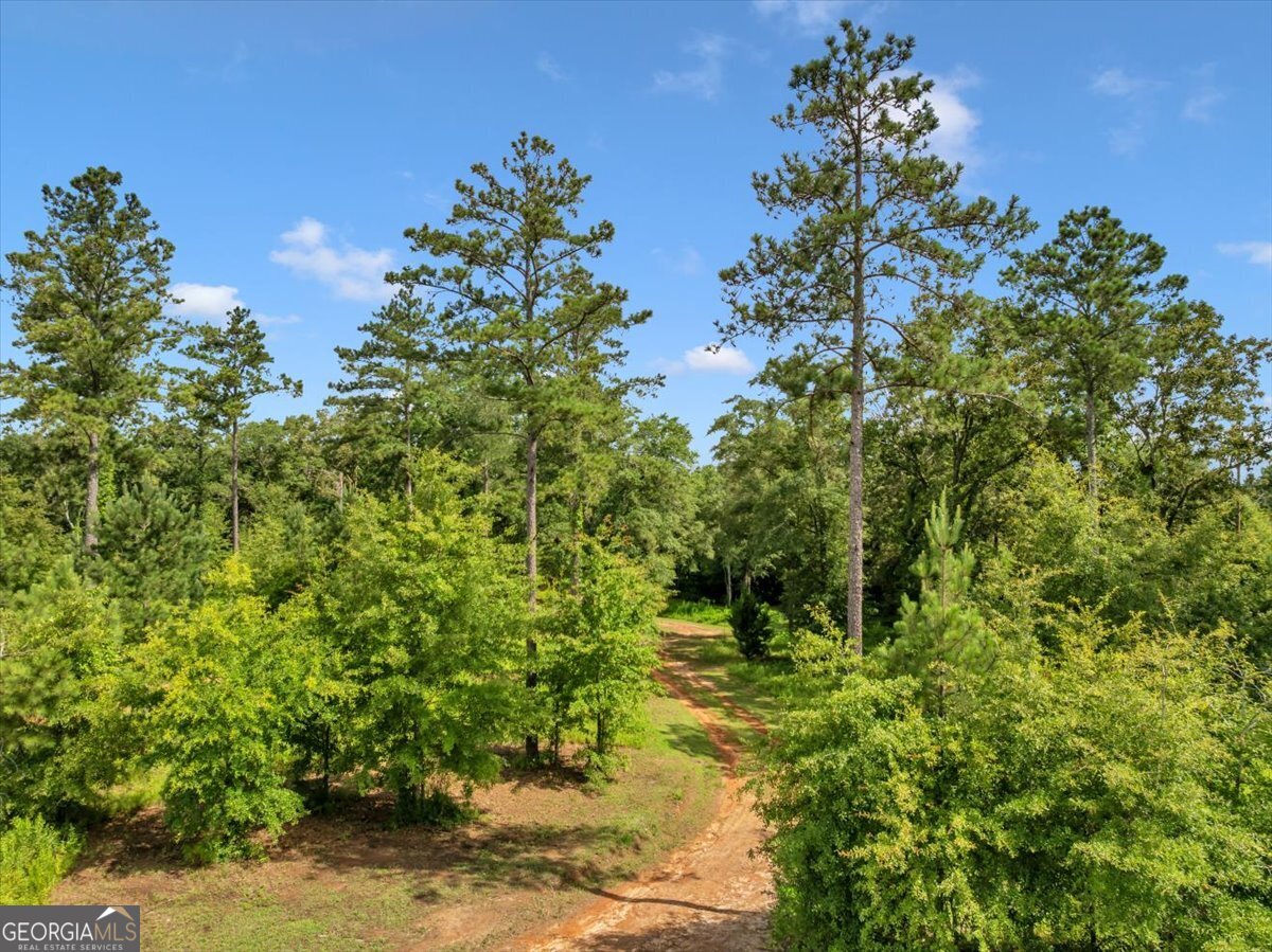335 Highway 26 Elko, GA 31025 - Photo 43 of 54 a view of a garden