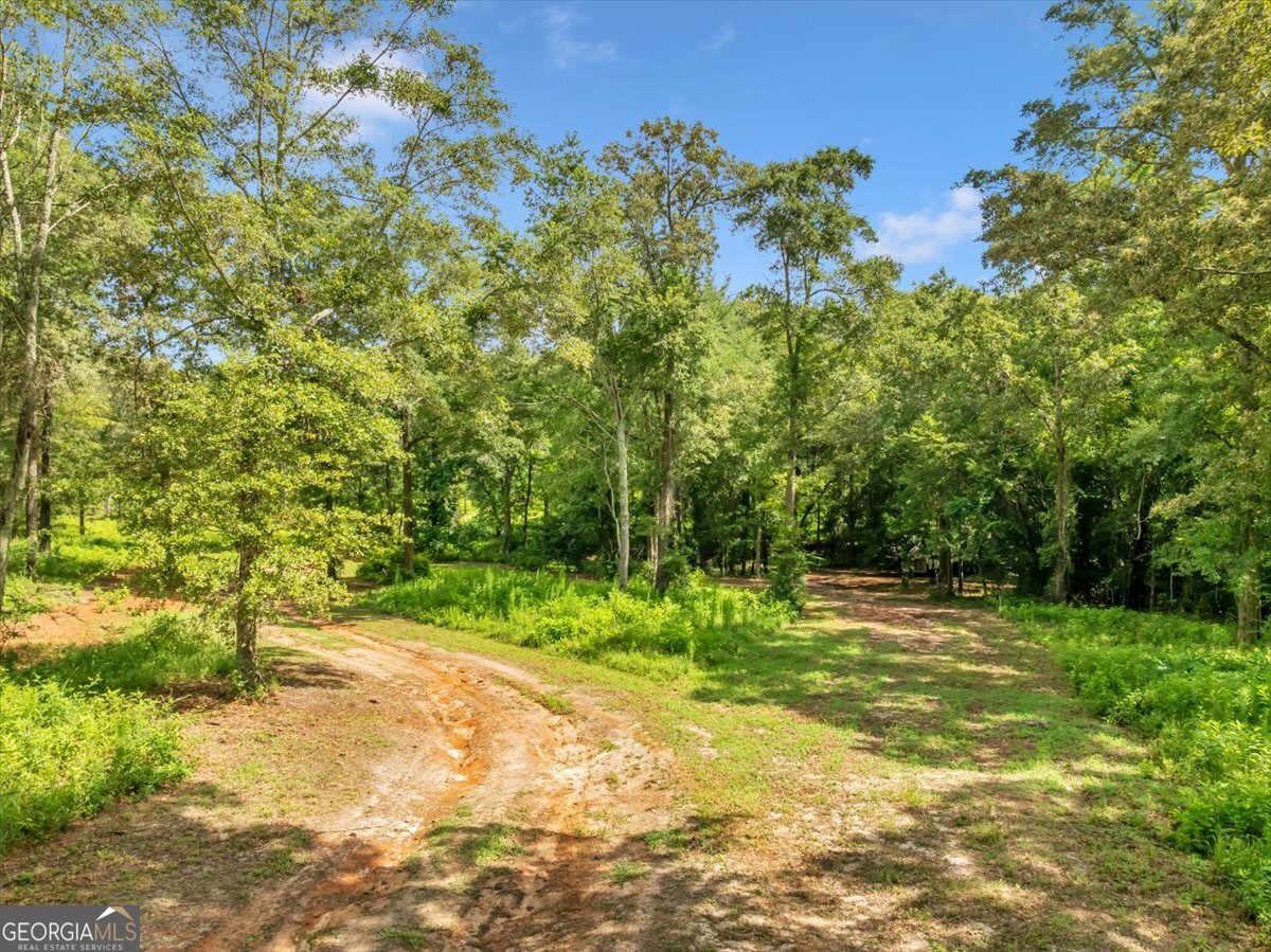 335 Highway 26 Elko, GA 31025 - Photo 44 of 54 a view of a yard with a tree