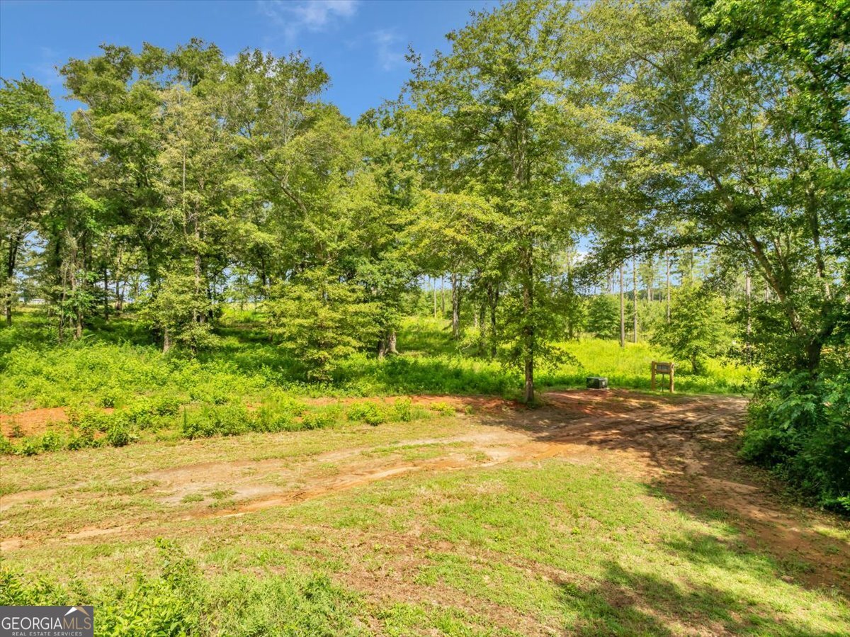 335 Highway 26 Elko, GA 31025 - Photo 46 of 54 a view of a yard with a trees