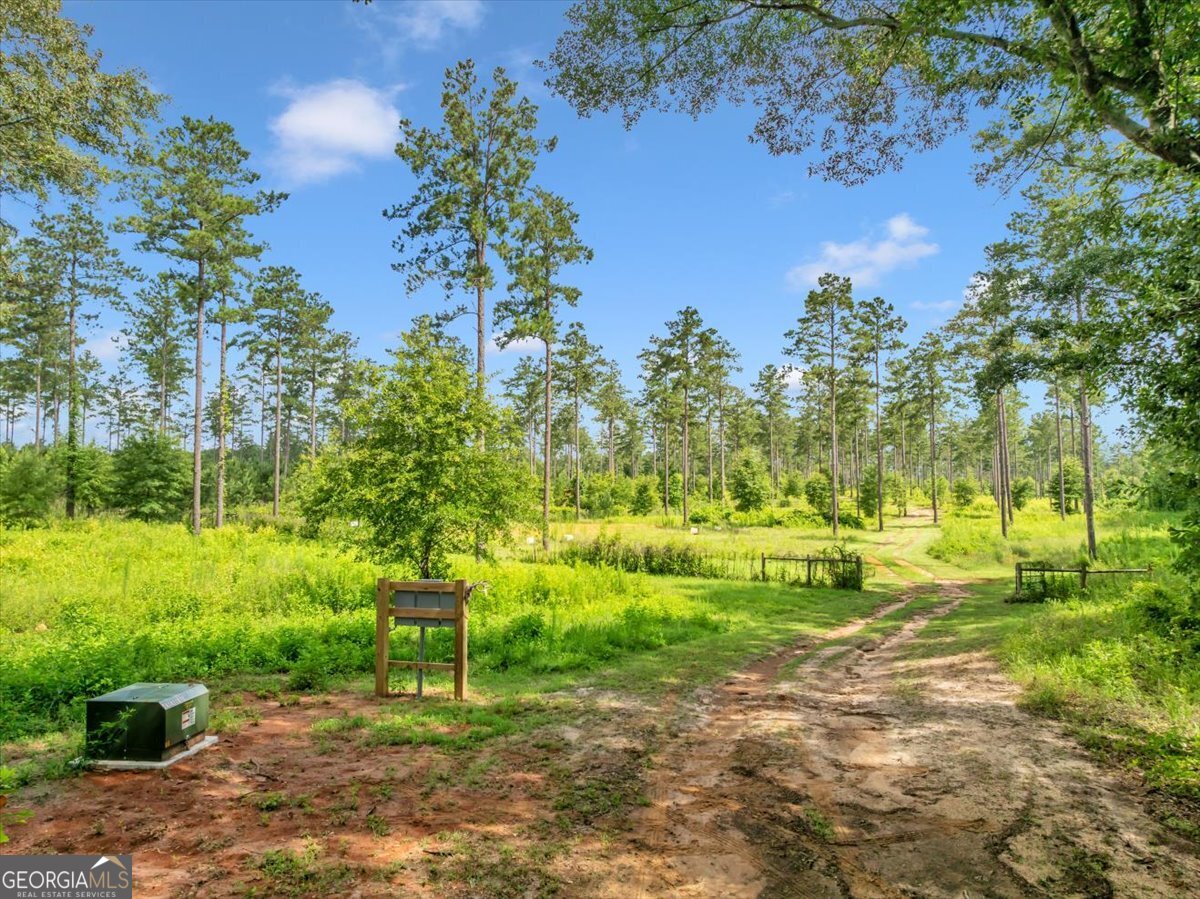 335 Highway 26 Elko, GA 31025 - Photo 47 of 54 a view of yard with green space