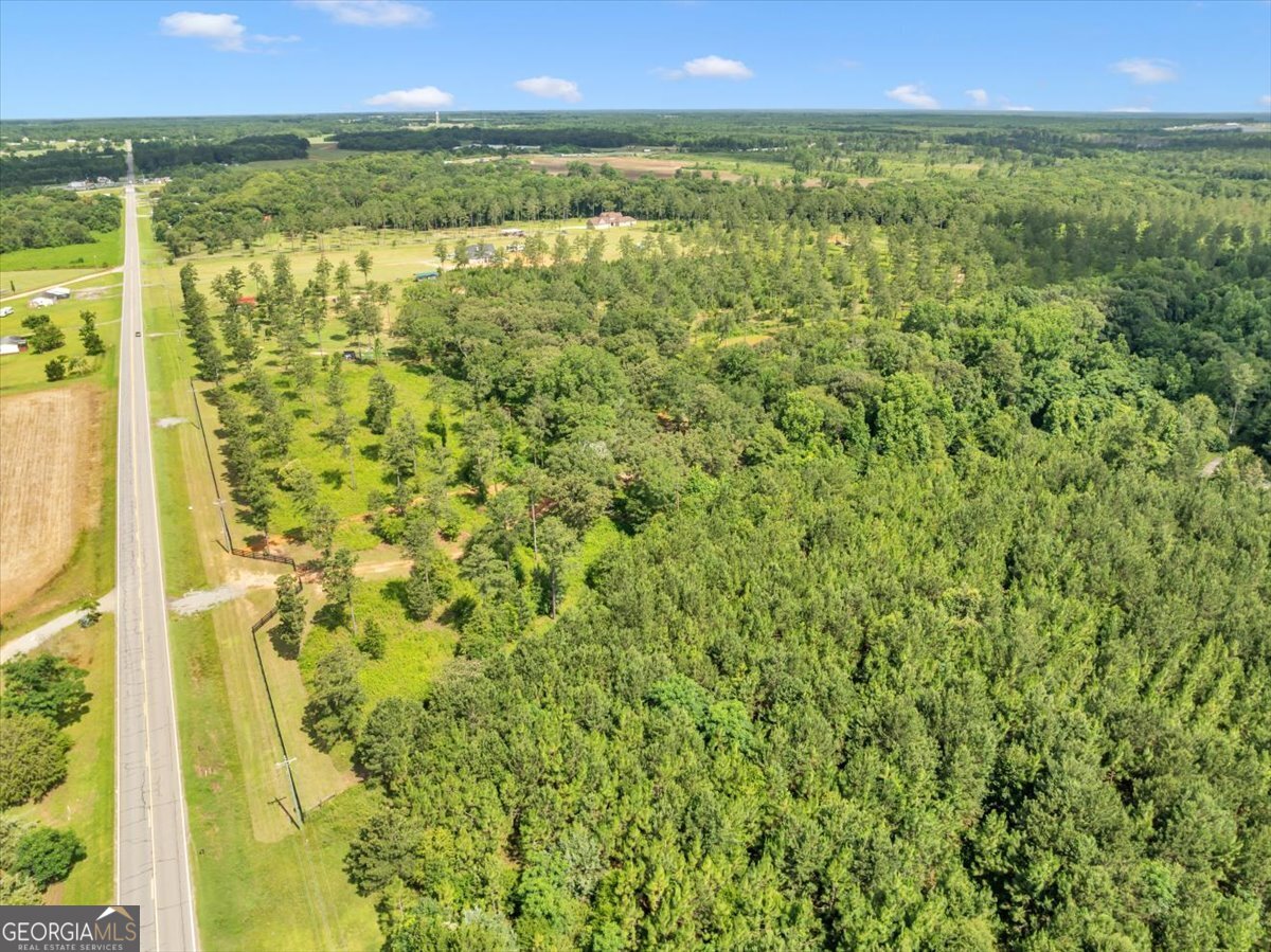 335 Highway 26 Elko, GA 31025 - Photo 49 of 54 a view of an outdoor space and a lake view