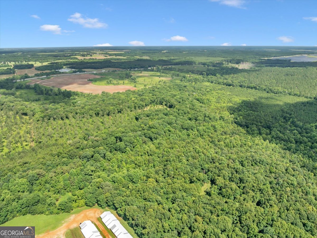 335 Highway 26 Elko, GA 31025 - Photo 51 of 54 a view of a lake with a yard