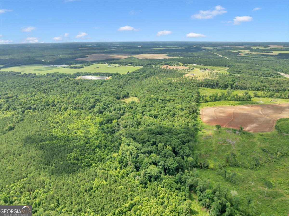 335 Highway 26 Elko, GA 31025 - Photo 53 of 54 a view of an ocean and a mountain