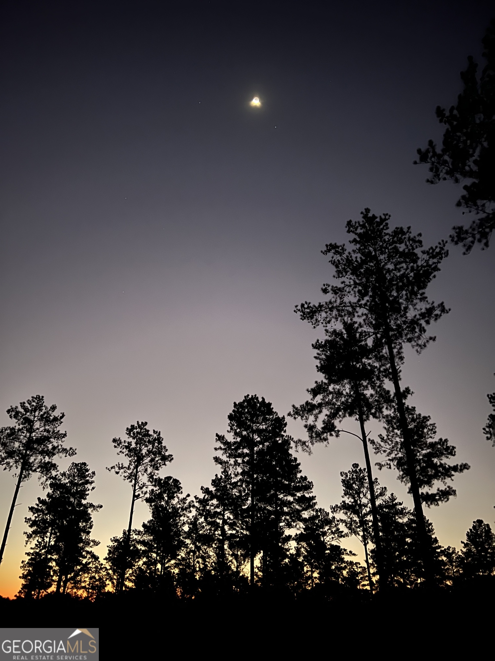 335 Highway 26 Elko, GA 31025 - Photo 6 of 54