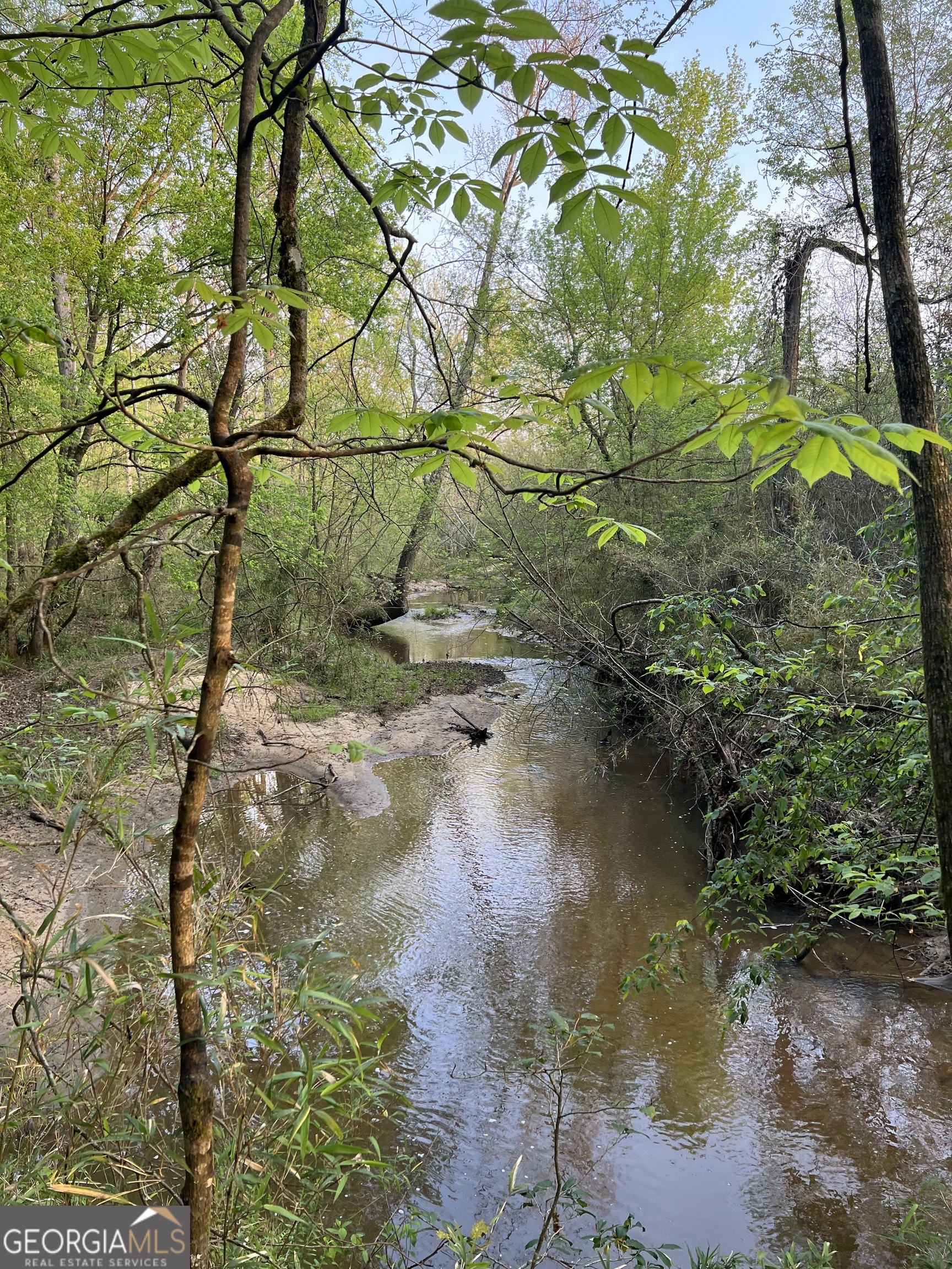 335 Highway 26 Elko, GA 31025 - Photo 7 of 54 a backyard of a house with lots of green space