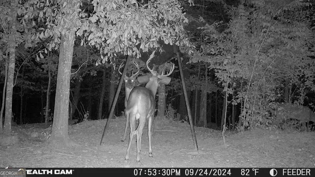 $1,178,520 | 335 Highway 26, Elko, GA 31025