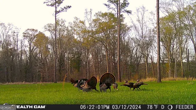 a view of a backyard of the house