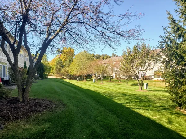 a garden view with a fountain