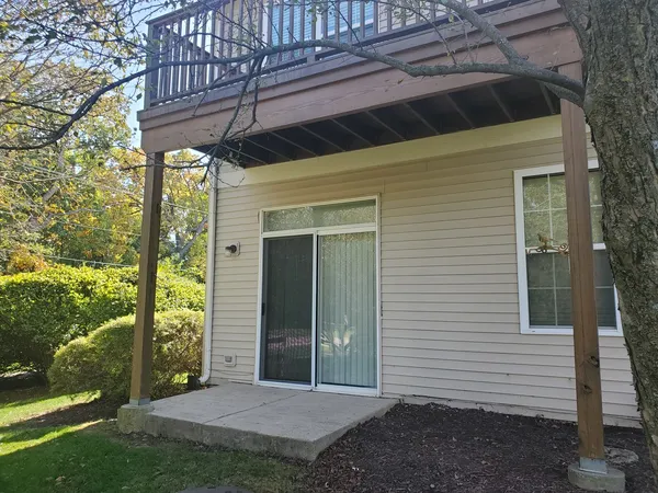 a view of a yard with a tree