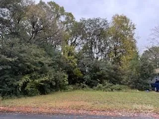 a view of a yard with plants and trees