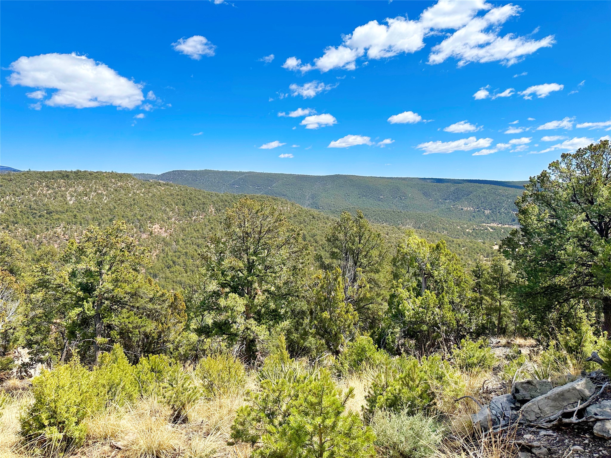 53 County Rd B44C Pecos, NM 87552 - Photo 41 of 51