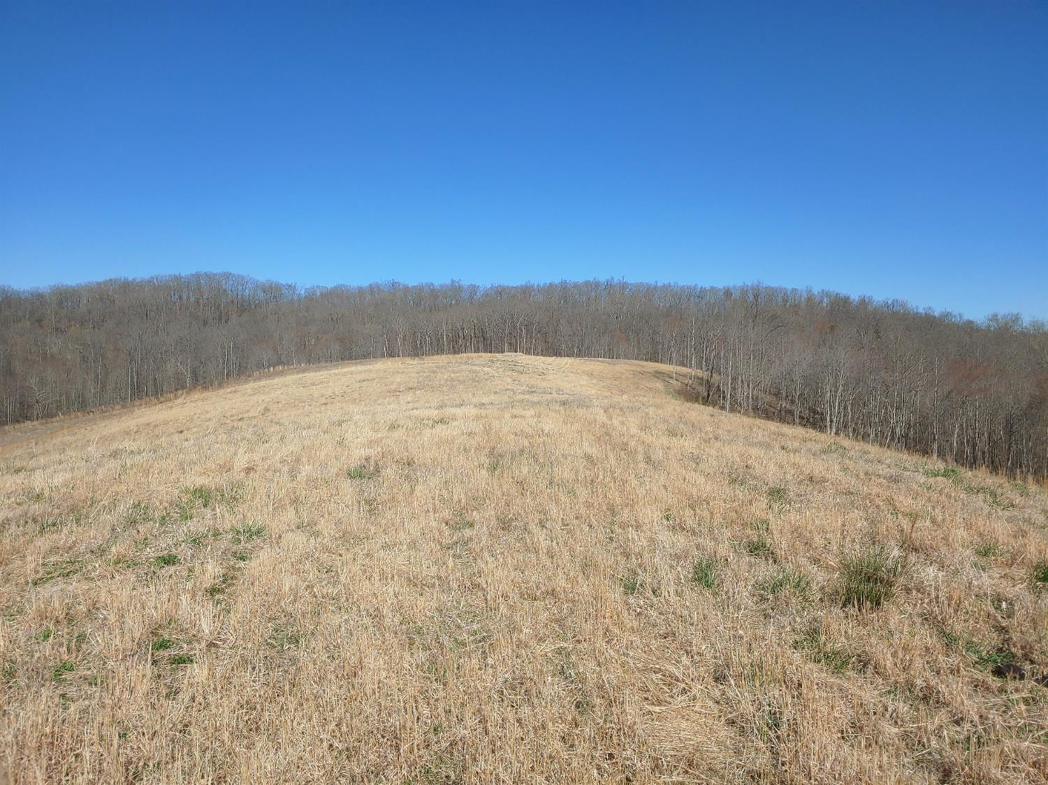 999 Pine Hill Brock Road London, KY 40741 - Photo 17 of 25 Photo 17