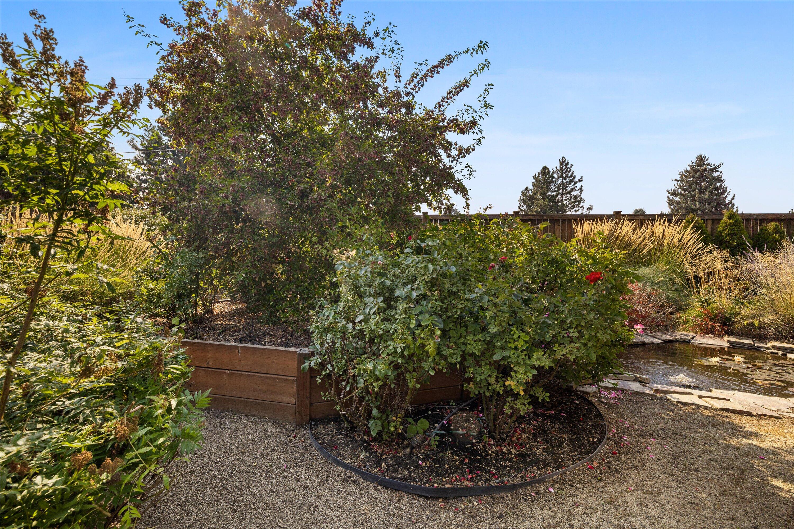 61807 Southeast Rolo Court Bend, OR 97702 - Photo 22 of 26 Backyard