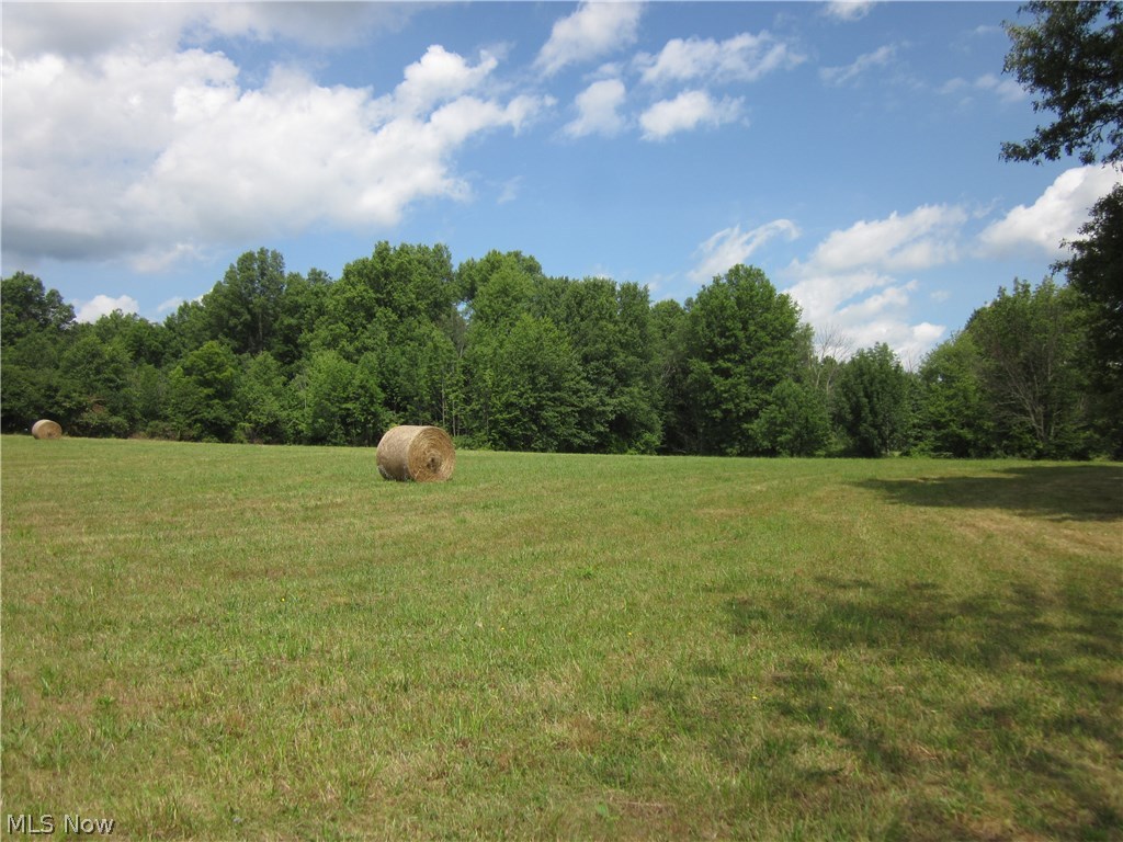 9097 Tallmadge Road Diamond, OH 44412 - Photo 30 of 31 Gallery Image 30