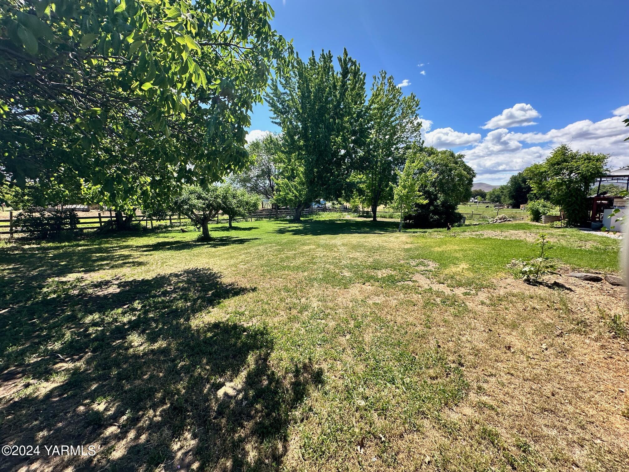 1131 County Line Road Grandview, WA 98930 - Photo 9 of 11 a view of a big yard with a trees