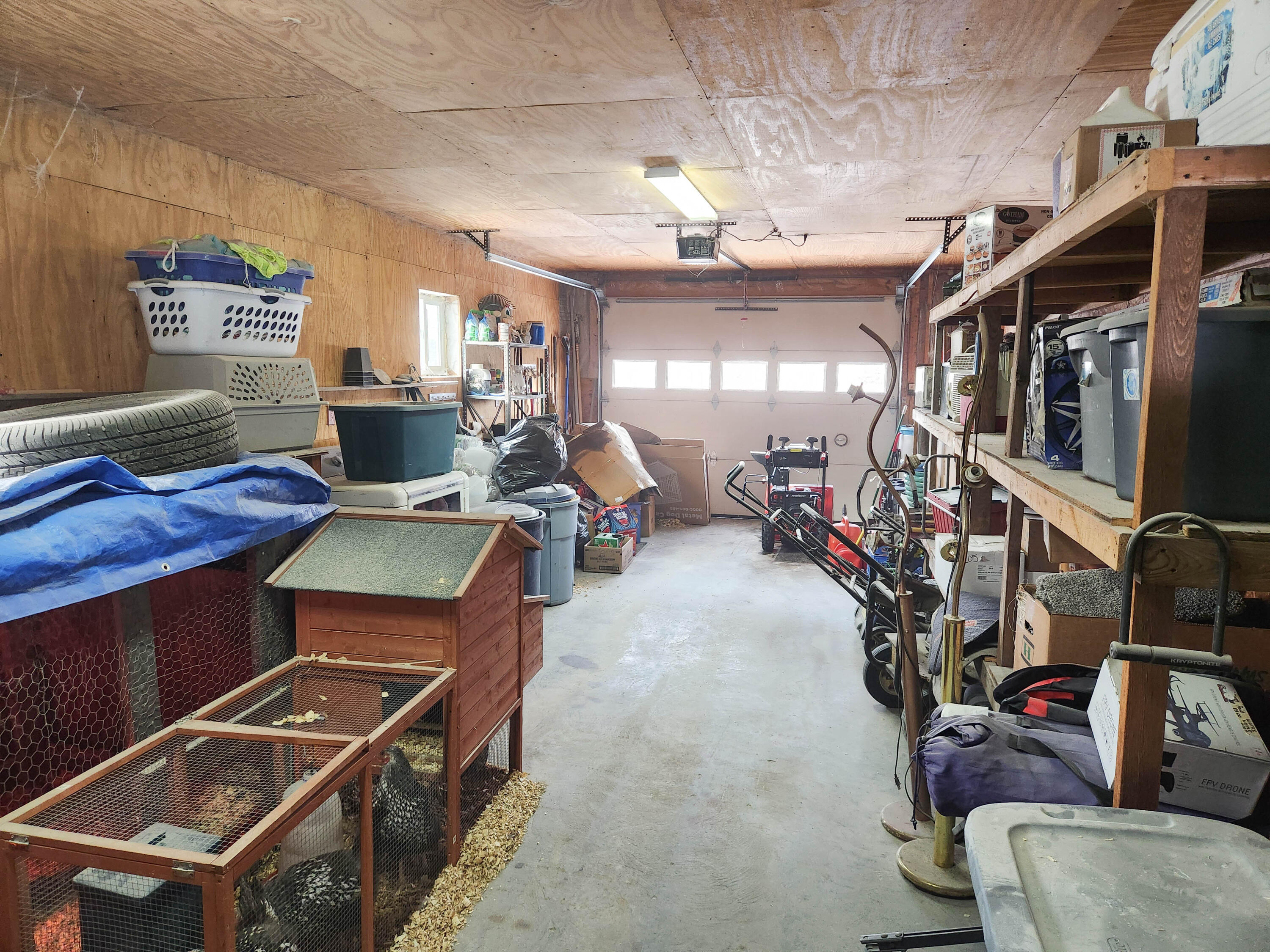 19 Main Street Grand Isle, ME 04746 - Photo 47 of 57 2026-04-02 16.47.05