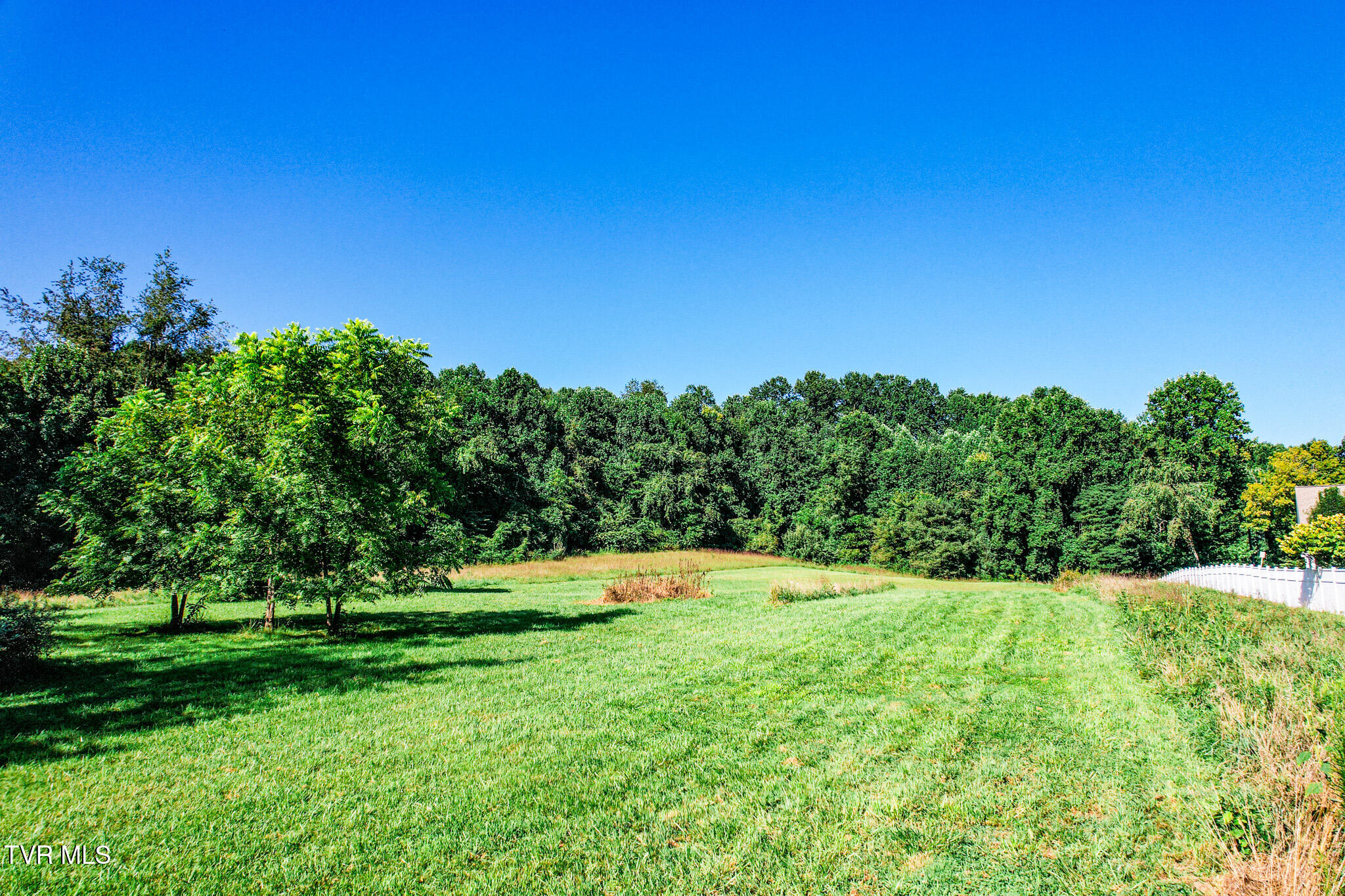 950 Shakesville Road Bristol, VA 24201 - Photo 8 of 15 DJI_0462