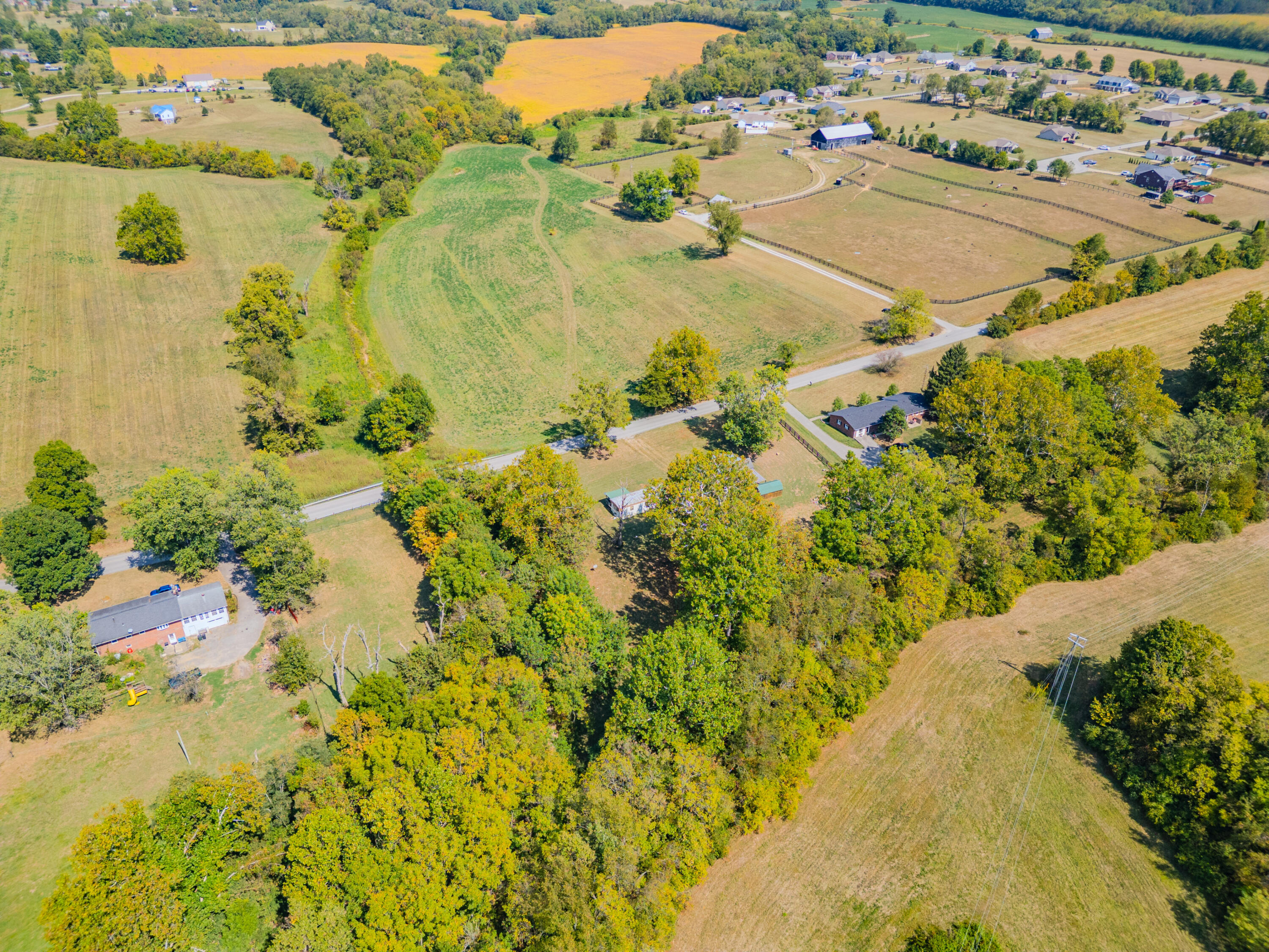1105 Old Delaplain Road Georgetown, KY 40324 - Photo 13 of 13 1105Delaplain-0299