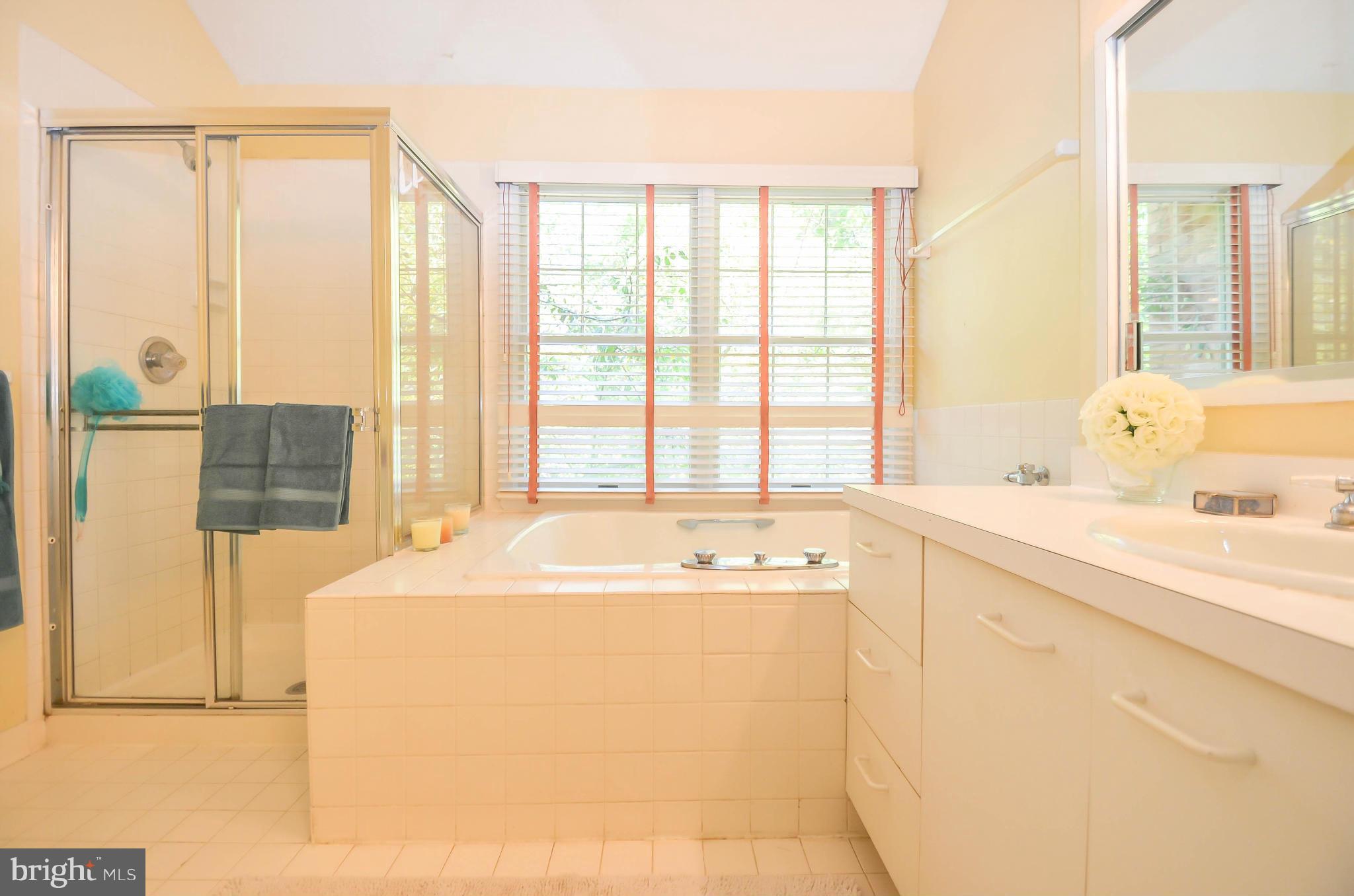 2 Raisin Tree Circle Baltimore, MD 21208 - Photo 15 of 17 Bath (Master)