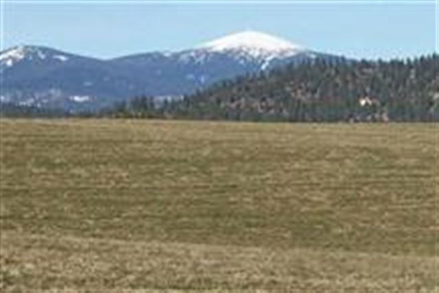 14506 East Farwell Road Spokane, WA 99217 - Photo 9 of 9