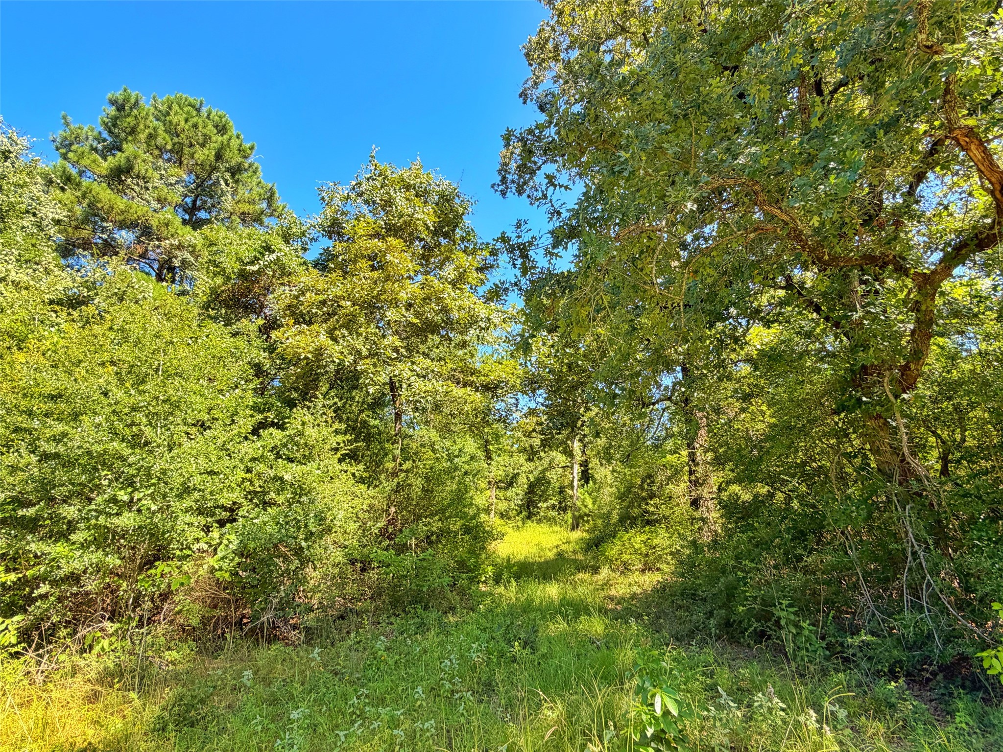 Tbd Tbd I-45 West Feeder Road Centerville, TX 75833 - Photo 14 of 15