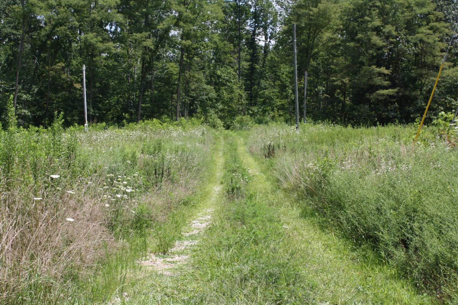 1381 Hurricane Ridge Road Waynesburg, KY 40489 - Photo 2 of 9 Listing Photo
