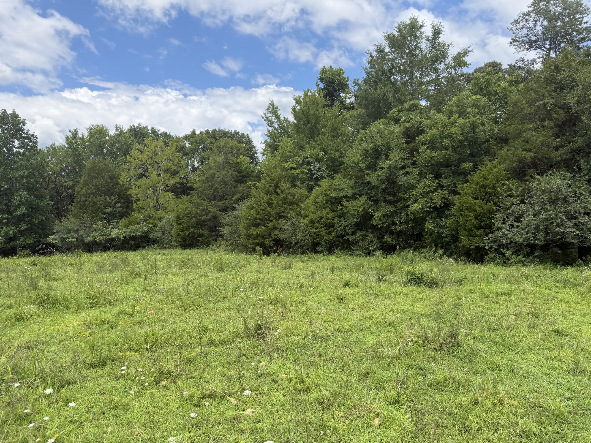 5141 Devers Road Southside, TN 37171 - Photo 13 of 33 Gallery Image 13