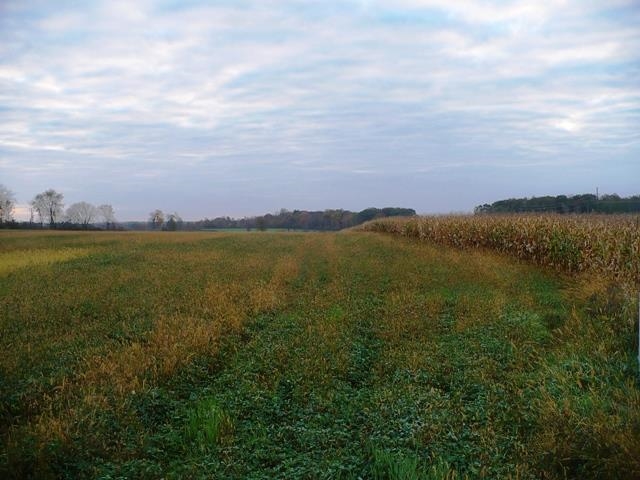 11 County Rd G Willard, WI 54493 - Photo 1 of 1