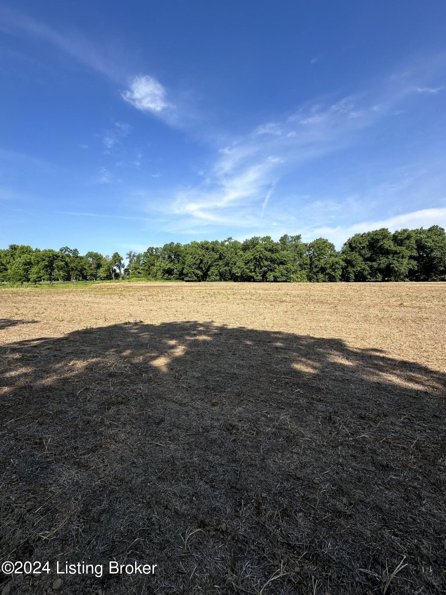 3100 Wises Landing Road Bedford, KY 40006 - Photo 6 of 8 wises1