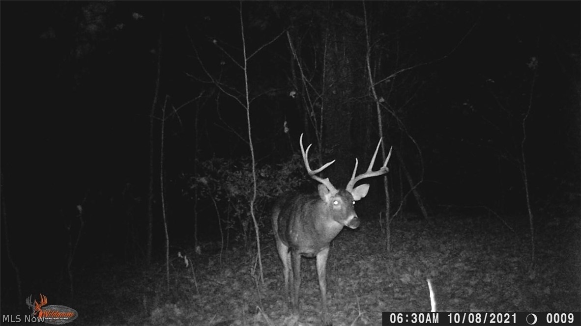 Butterbean Ridge Road Philo, OH 43771 - Photo 18 of 18