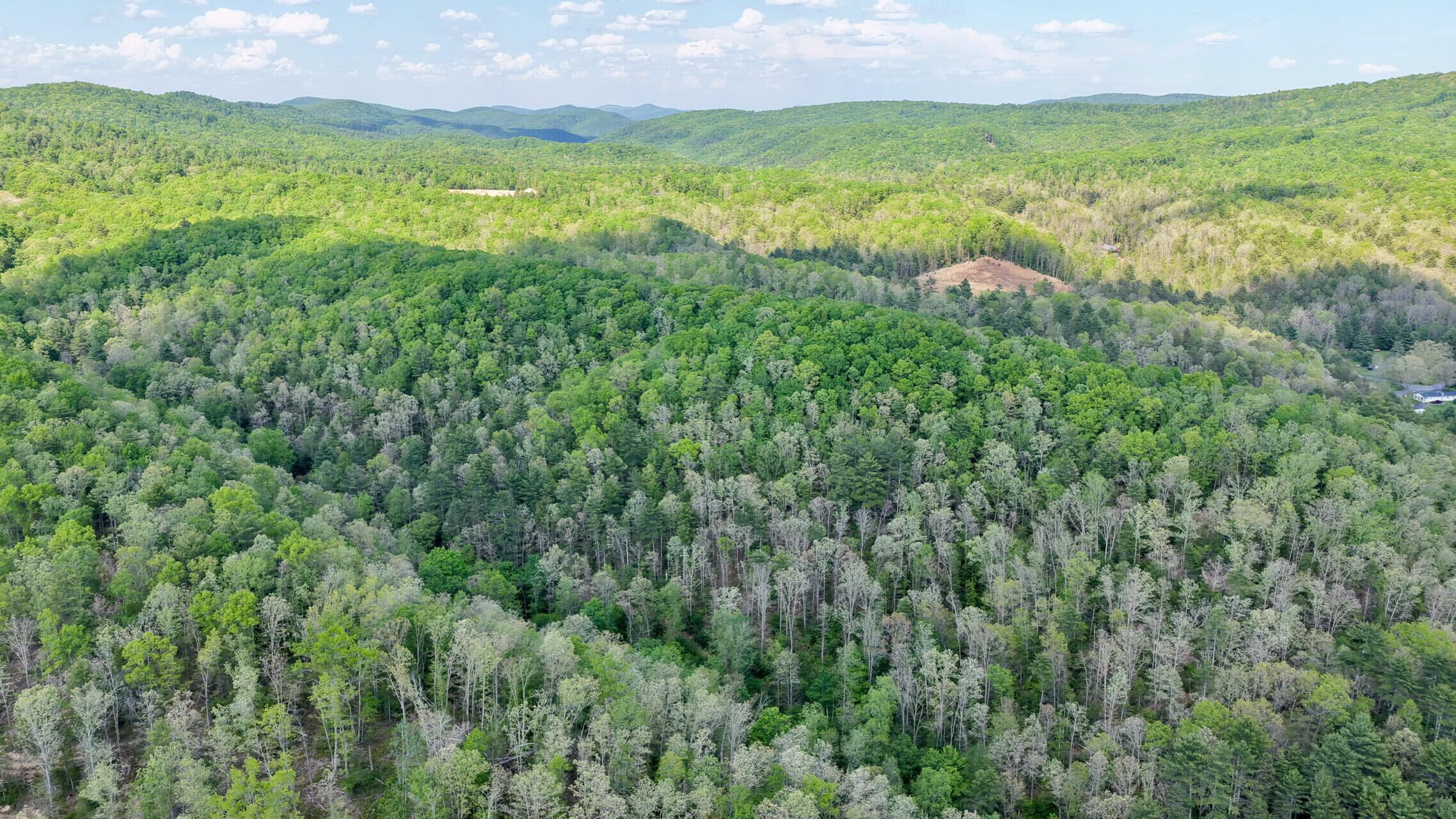 8991 Jones Mountain Road Union, WV 24983 - Photo 12 of 20 8891 Jones Mountain Rd (17)