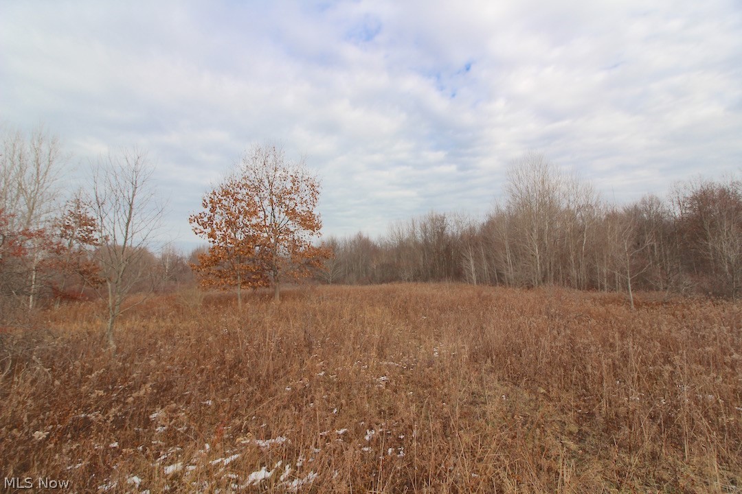 7636 Center Road Ashtabula, OH 44004 - Photo 19 of 35 Gallery Image 19