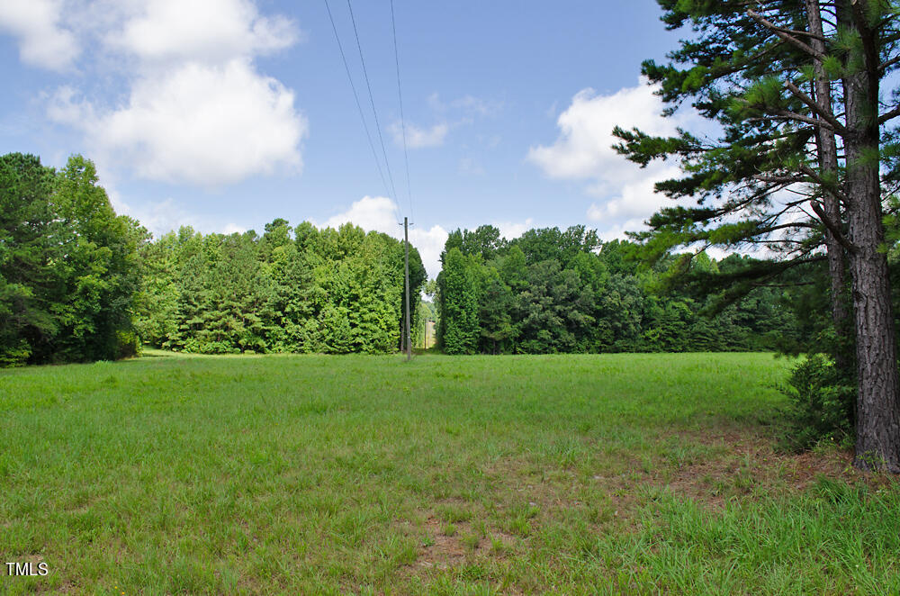 0 Range Road Stem, NC 27581 - Photo 8 of 35 DSC_0002
