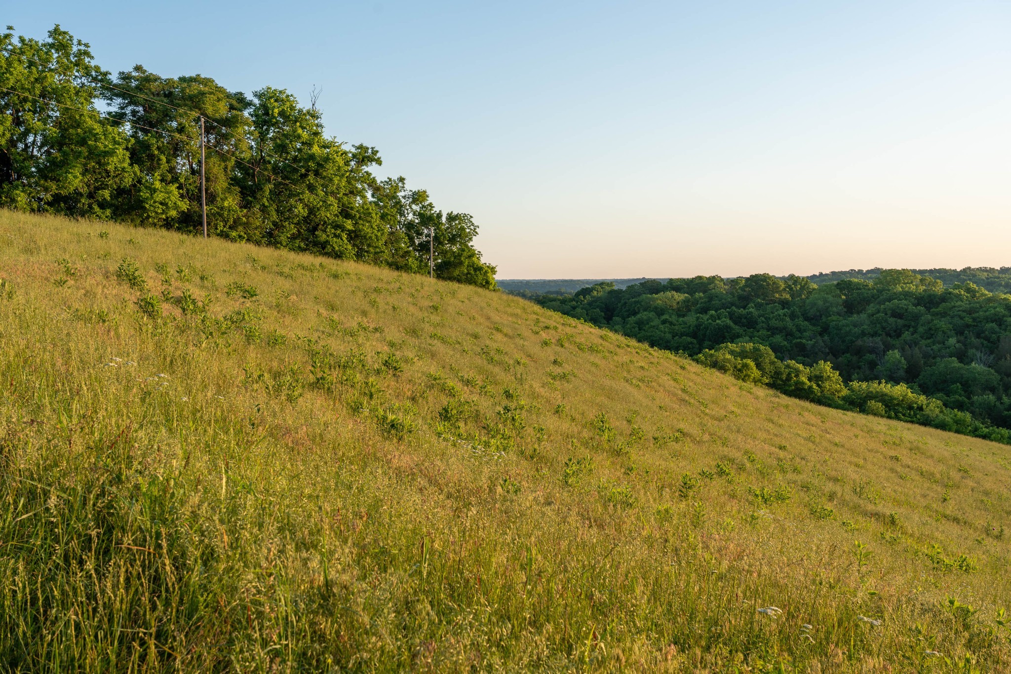 3210 Morel Road Columbia, TN 38401 - Photo 43 of 76 Gallery Image 43