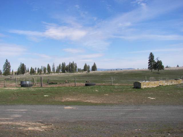 35222 Miles Creston Road North Creston, WA 99117 - Photo 3 of 9 Gallery Image 3