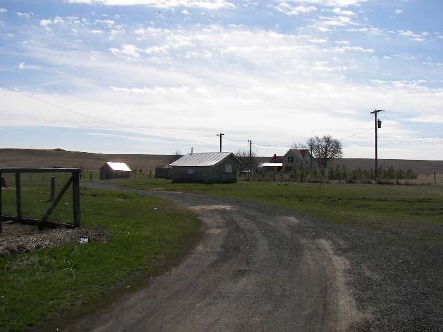 35222 Miles Creston Road North Creston, WA 99117 - Photo 4 of 9 Gallery Image 4