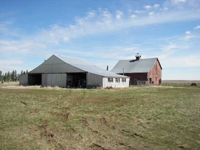 35222 Miles Creston Road North Creston, WA 99117 - Photo 5 of 9 Gallery Image 5