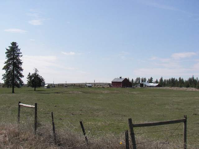 35222 Miles Creston Road North Creston, WA 99117 - Photo 8 of 9 Gallery Image 8