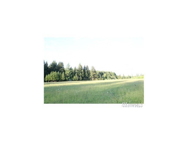 1097 Eufaula Heights Road Longview, WA 98632 - Photo 1 of 3 Gallery Image 1