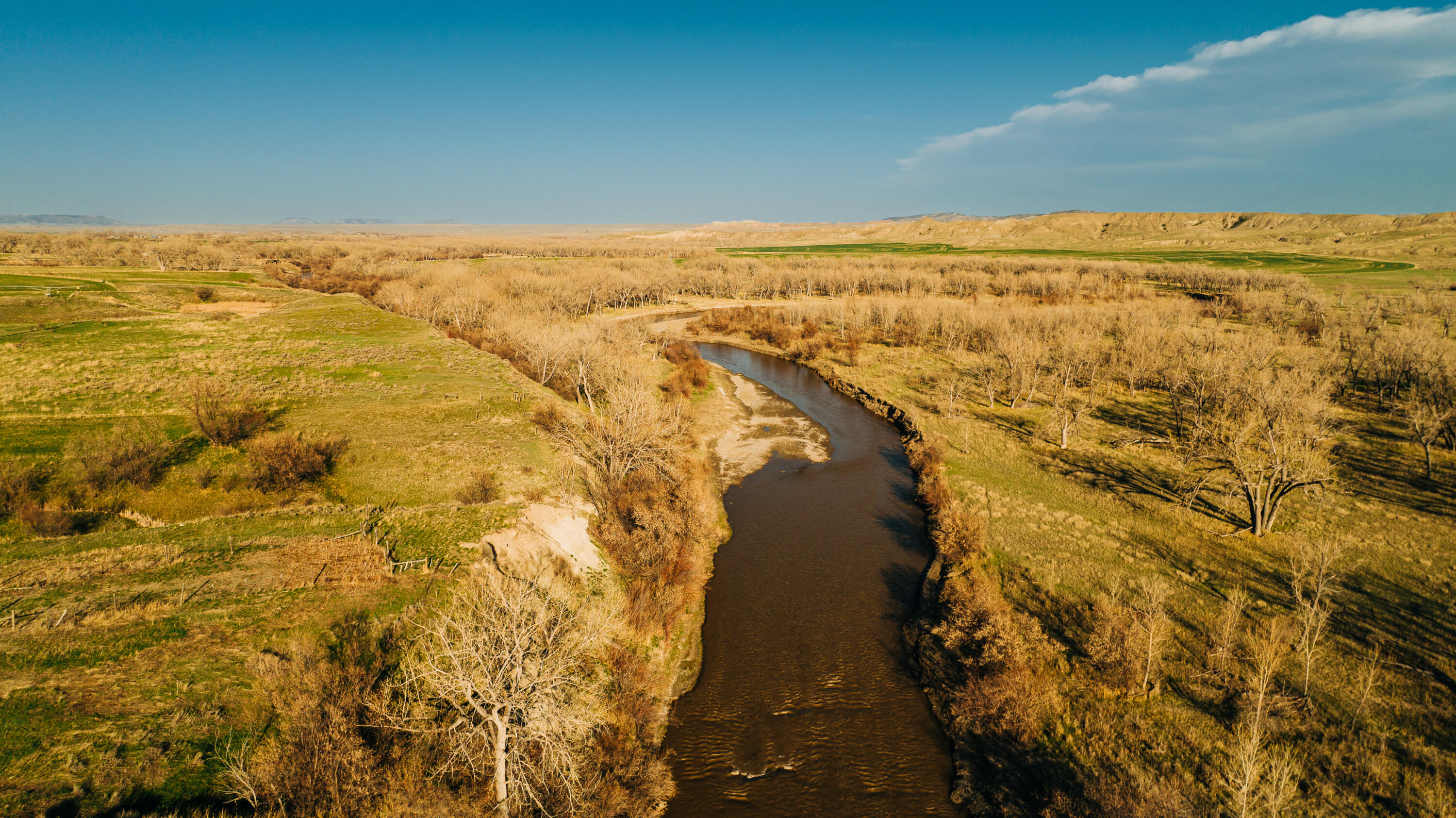 DJI_0558