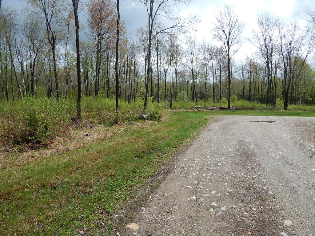 4120 Lincoln Road Ripton, VT 05766 - Photo 2 of 8