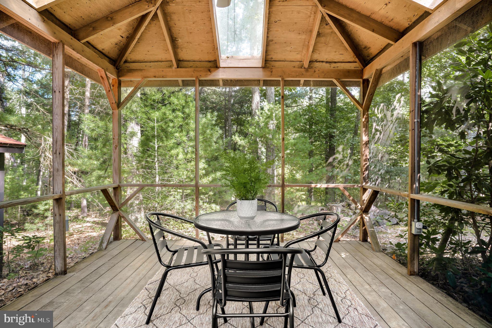 236 Judd Lane Mount Jackson, VA 22842 - Photo 3 of 31