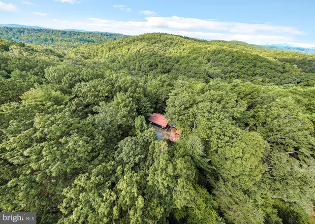a aerial view of a houses with a lush green forest