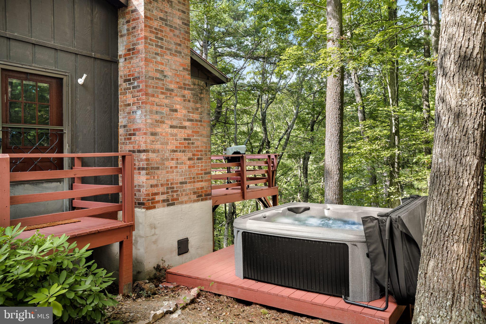 236 Judd Lane Mount Jackson, VA 22842 - Photo 5 of 31