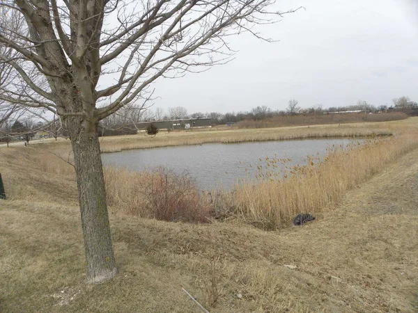 a view of lake with green space