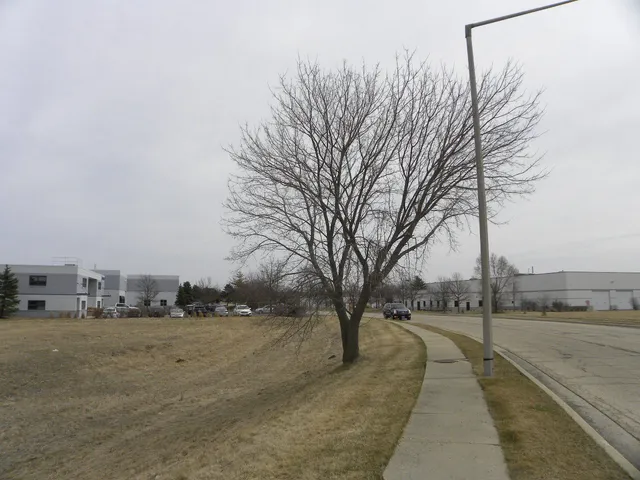 a view of city street with trees