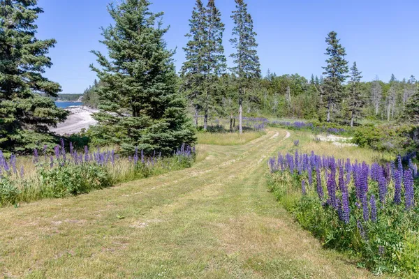 $7,975,000 | Lot 001 Sheephead Island, Deer Isle, ME 04627