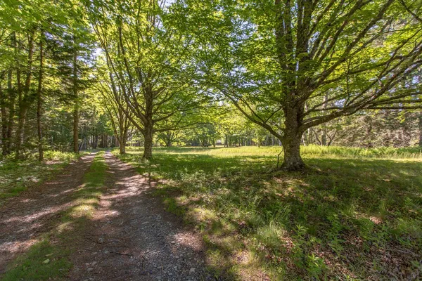 $7,975,000 | Lot 001 Sheephead Island, Deer Isle, ME 04627