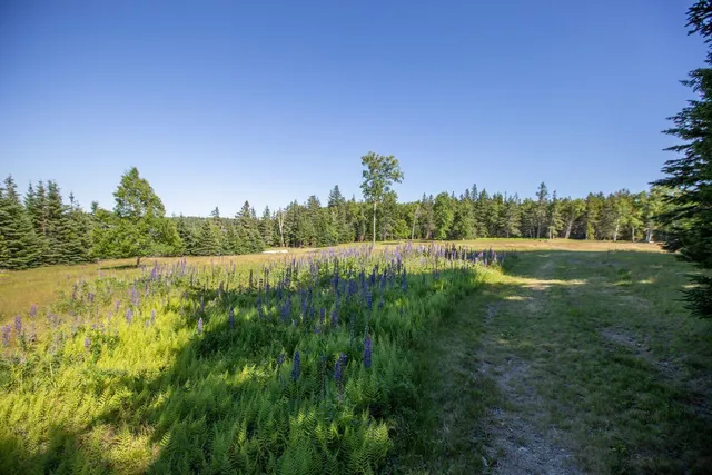 $7,975,000 | Lot 001 Sheephead Island, Deer Isle, ME 04627