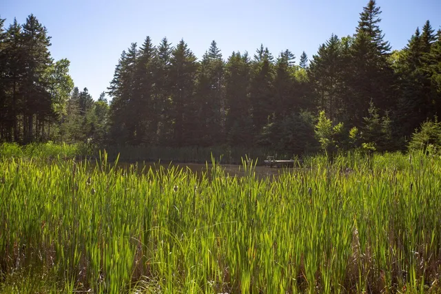 $7,975,000 | Lot 001 Sheephead Island, Deer Isle, ME 04627